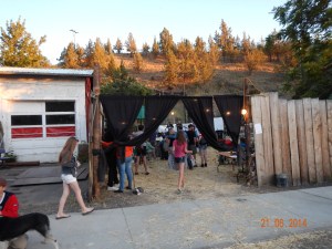 The Curtain Not Working