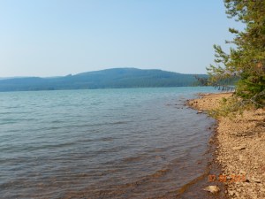 Timothy Lake